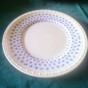 Copeland Spode China 2 Centurion Gossamer Round Luncheon Plates 9 3/8"  England